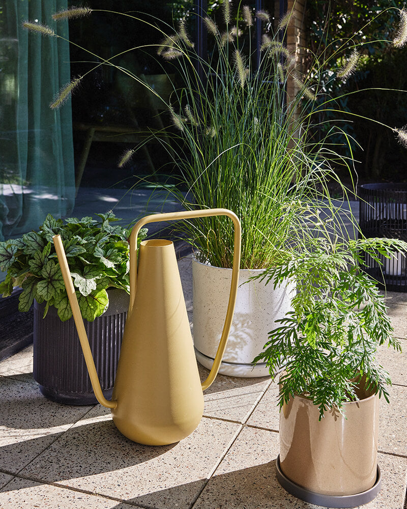 Pottery & Watering Cans