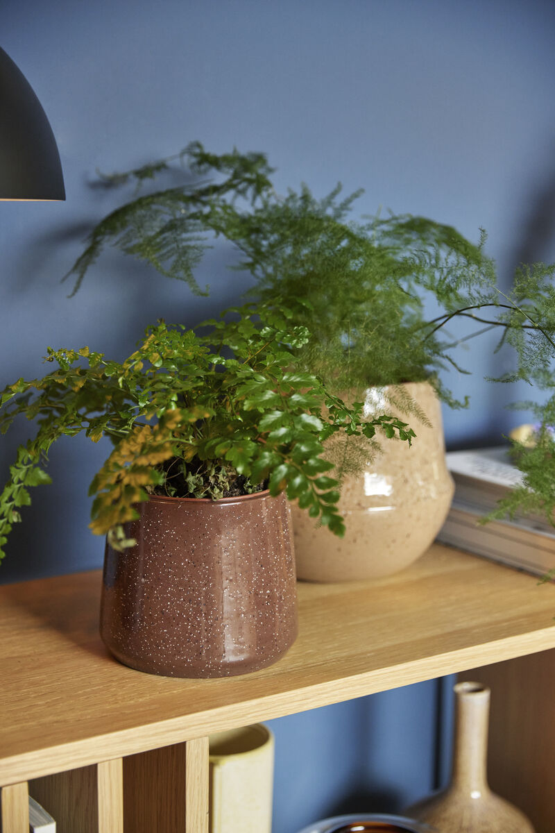 Aki Sideboard Natural