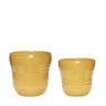 Care Pots (set of 2)