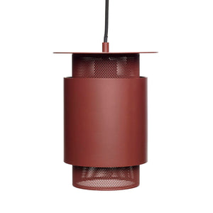 Double Ceiling Lamp