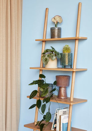 Lean Display Ladder Shelf - Natural